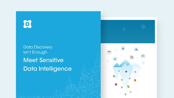 Data Discovery Isn’t Enough. Meet Sensitive Data Intelligence