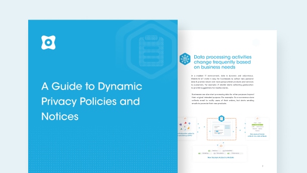 A Guide to Dynamic Privacy Policies and Notices