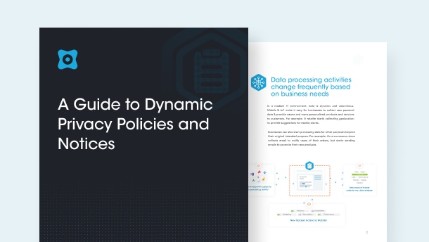 dynamic privacy policies and notices