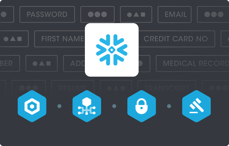 Inteligência, governança, privacidade e proteção de dados autônoma para o Snowflake Data Cloud