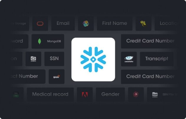 Data Discovery with Snowflake: 5 Things You Need to Know