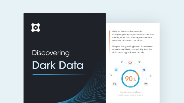 Discovering Dark Data – An Elusive Security & Privacy Risk in the Cloud