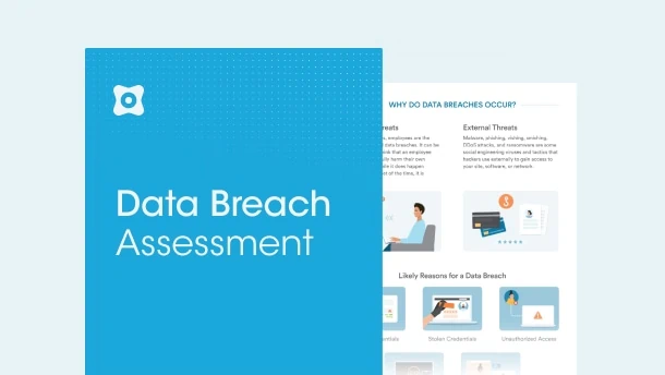 Data Breach Assessment Infographic
