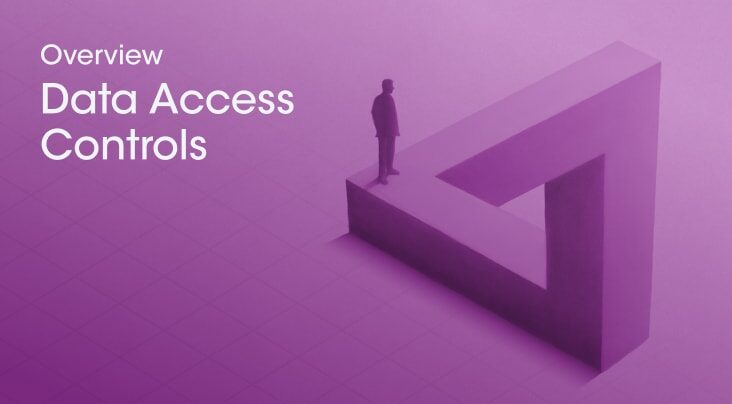 Unleash the Power of Data with Access Controls