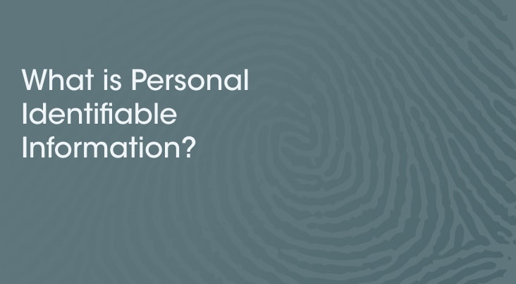 What Is Personally Identifiable Information (PII) & Its Challenges ...