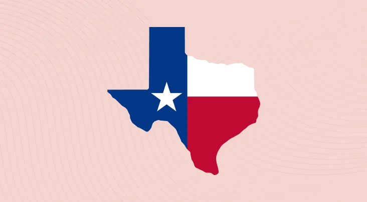 An Overview of the Texas Data Privacy and Security Act (TDPSA)