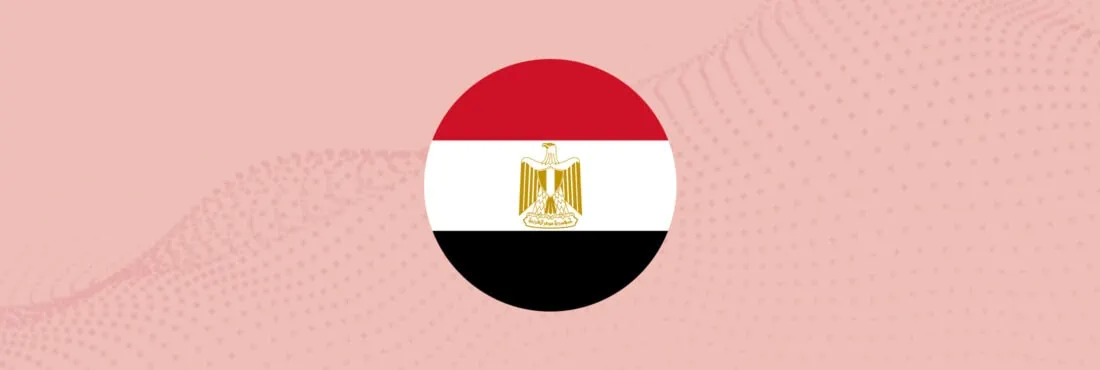 What is Egypt’s Data Protection Law