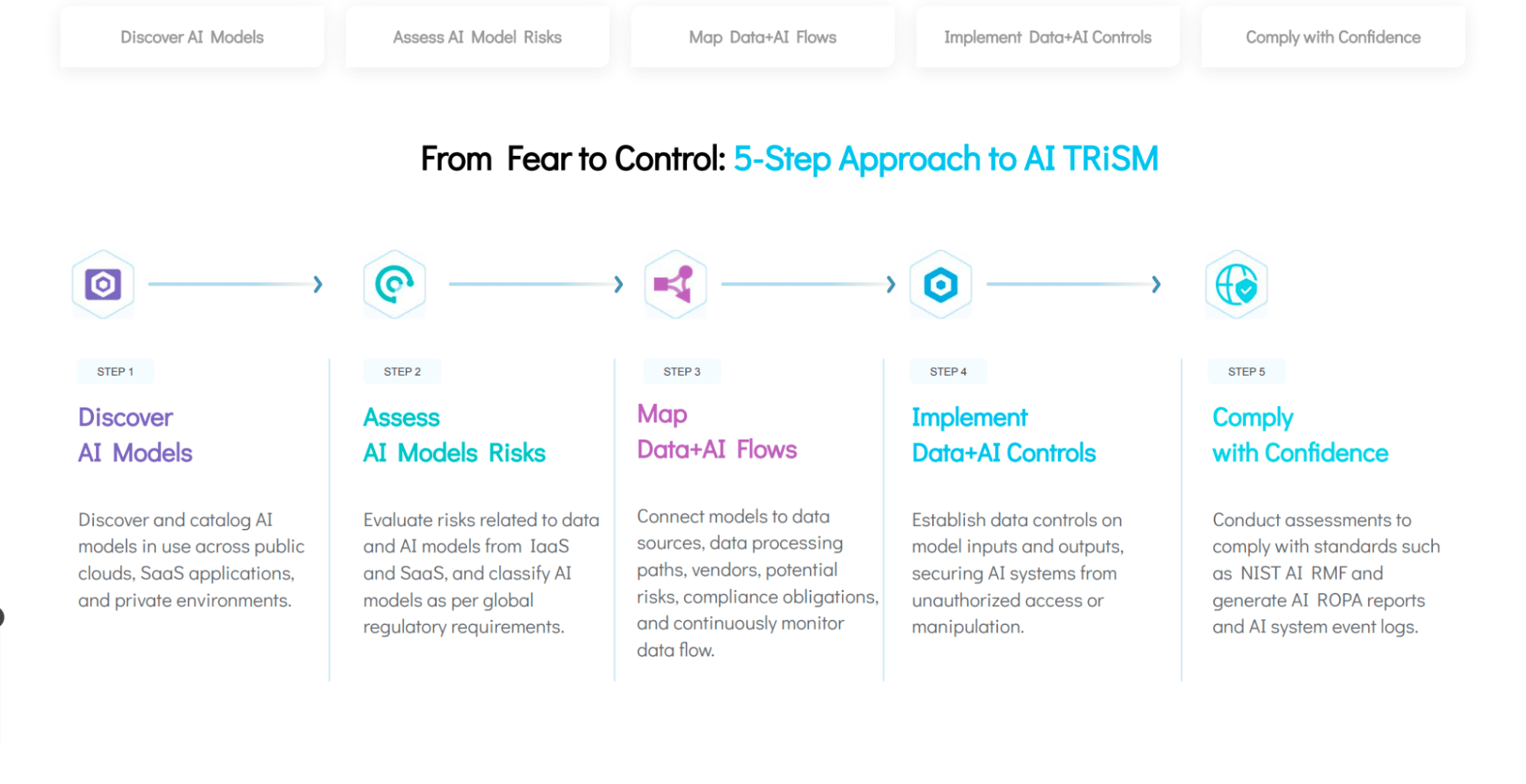 5 step approach to TRiSM
