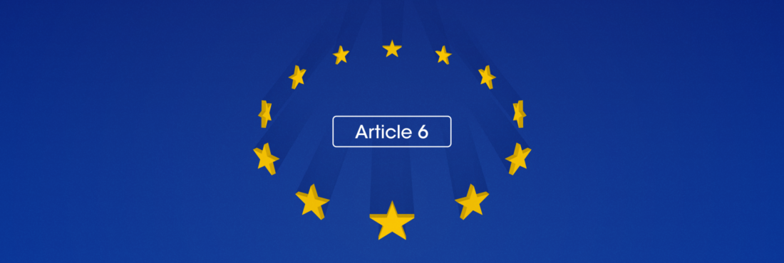 Article 6