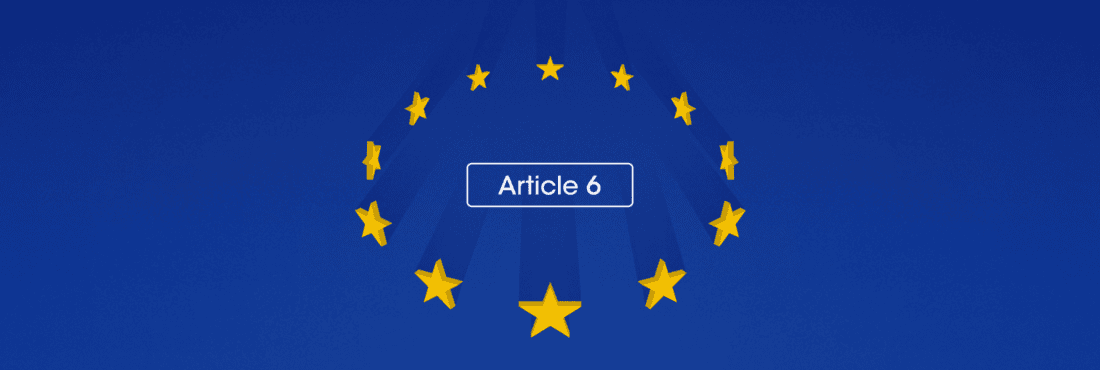 Article 6