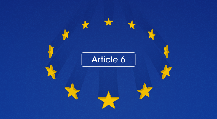 Article 6