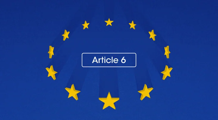 Article 6