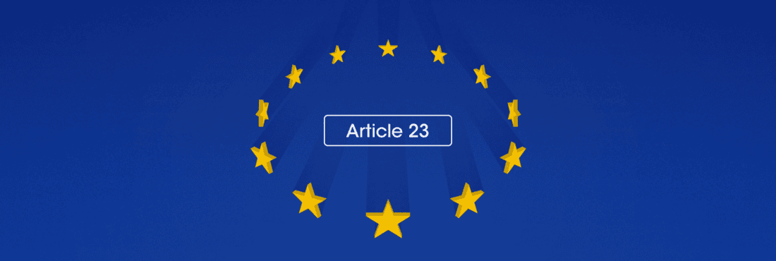 Article 23