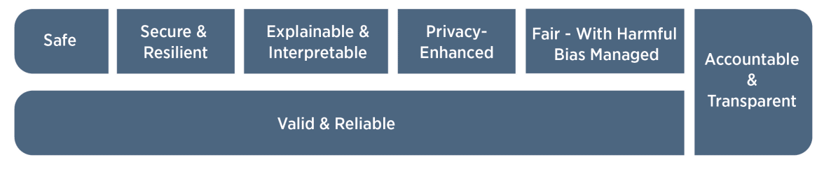 AI Risks and Trustworthiness