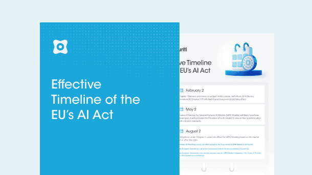 Effective Timeline of the EU’s AI Act